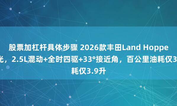 股票加杠杆具体步骤 2026款丰田Land Hopper曝光，2.5L混动+全时四驱+33°接近角，百公里油耗仅3.9升