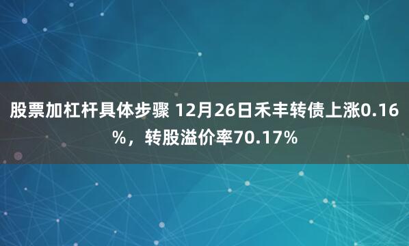 股票加杠杆具体步骤 12月26日禾丰转债上涨0.16%，转股溢价率70.17%